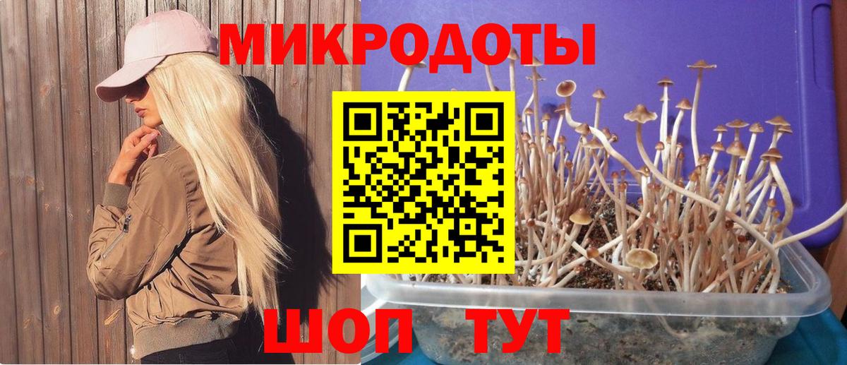 Киселёвск  Псилоцибиновые грибы Psilocybe  Галлюциногенные грибы мицелий  Вход с VPN 