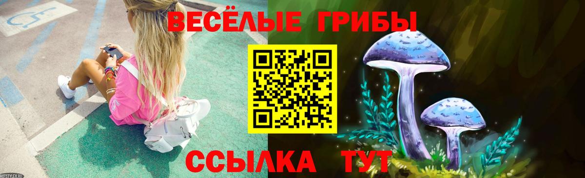Псилоцибиновые грибы ЛСД Киселёвск
